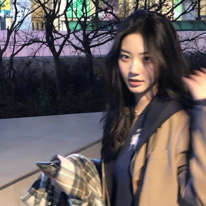 特禽鲨龙